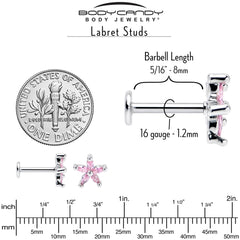 16G 5/16 Pink CZ Gem Flower Fantastic Internally Threaded Labret