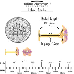 16G 1/4 Clear Gem Gold Tone Pastel Flower Cartilage Labret