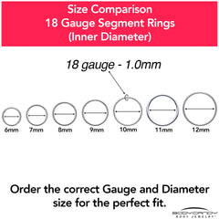 18G 7/16 316L Surgical Steel Precision Hinged Segment Hoop