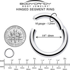 16G 1/4 316L Surgical Steel Precision Hinged Segment Hoop