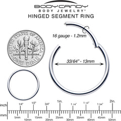 16G 13mm 316L Surgical Steel Precision Hinged Segment Hoop