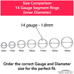 14G 9mm 316L Surgical Steel Precision Hinged Segment Hoop