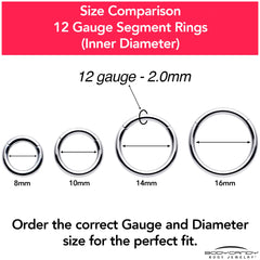 12G 5/16 316L Surgical Steel Precision Hinged Segment Hoop