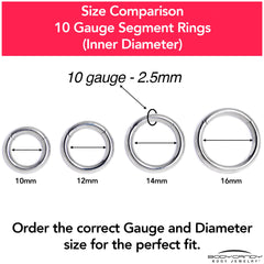 10G 3/8 316L Surgical Steel Precision Hinged Segment Hoop
