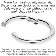 10G 5/8 316L Surgical Steel Precision Hinged Segment Hoop