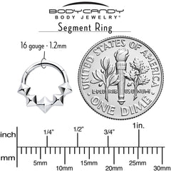 16G 5/16 3D Punk Style Hinged Segment Ring