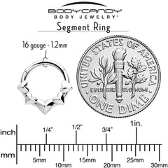 16G 5/16 3D Hearts Hinged Segment Ring