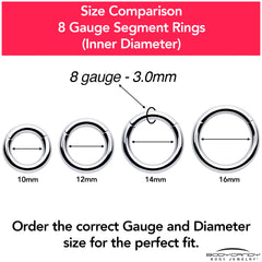8G 5/8 316L Surgical Steel Precision Hinged Segment Hoop