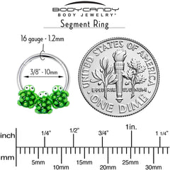 16G 3/8 Texture Turtle Trio Hinged Segment Ring