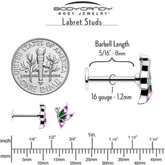 16G 5/16 Profile Butterfly Labret Monroe Tragus