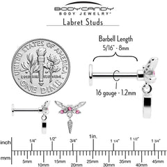 16G 5/16 Pink Gem Swank Dragonfly Dangle Labret Monroe Tragus