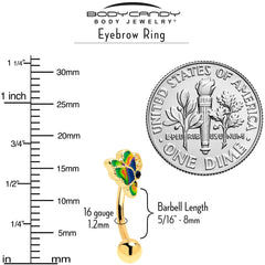 16G 5/16 Blue Gem Gold Tone Butterfly Colors Curved Eyebrow Ring