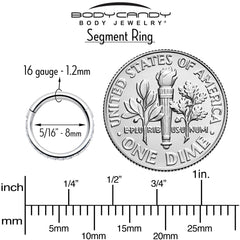16G Clear Cubic Zirconia Forward Facing Hinged Segment Ring