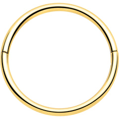 20G Implant Grade Titanium Half Closure Hinged Segment Ring