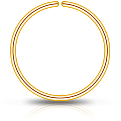 Single Hoop Nose 14k Yellow Gold Filled Nose Hoop Ring