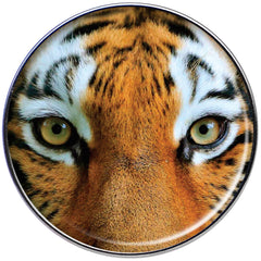 16G 1/4 Full Color Tiger Eyes Tragus Cartilage Earring